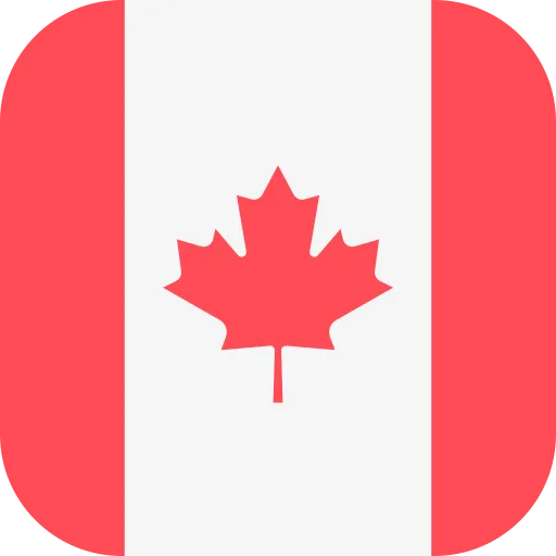 CAD flag