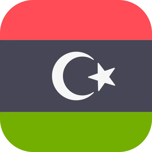 LYD flag